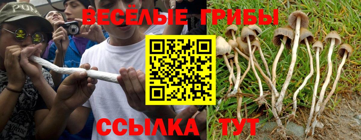 Галлюциногенные грибы Magic Shrooms  Вход с VPN  Видное 