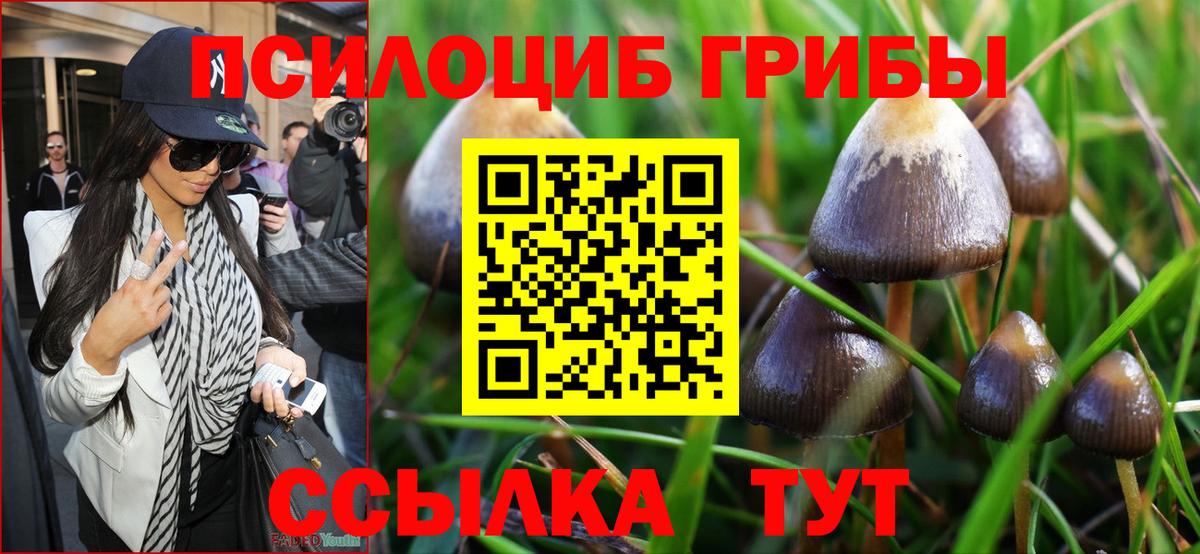 Псилоцибиновые грибы прущие грибы Видное